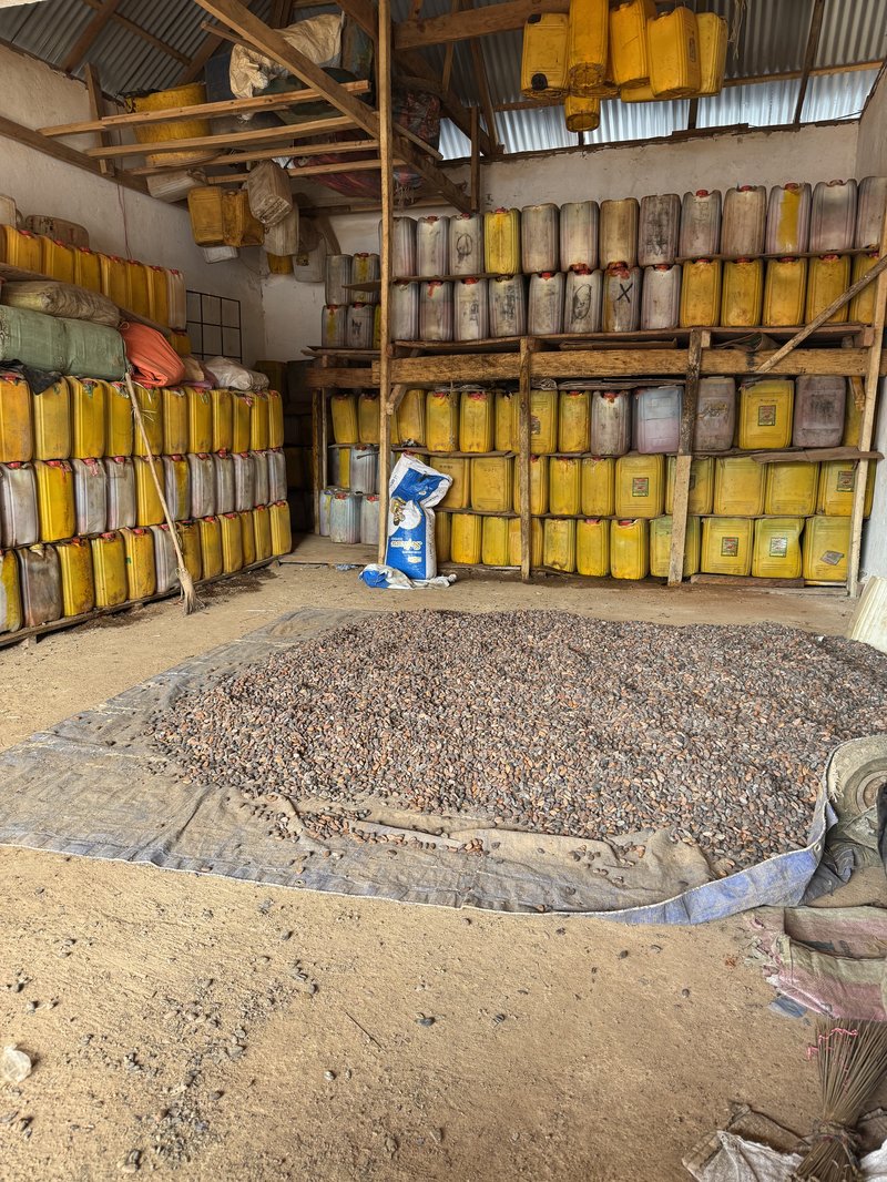 Chocolate giants fuel deforestation in West Africa's last