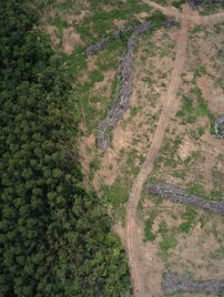Still aerial image of deforestation in the region of Marabá, Pará State, Brazil taken on 27th Nov 2021.
