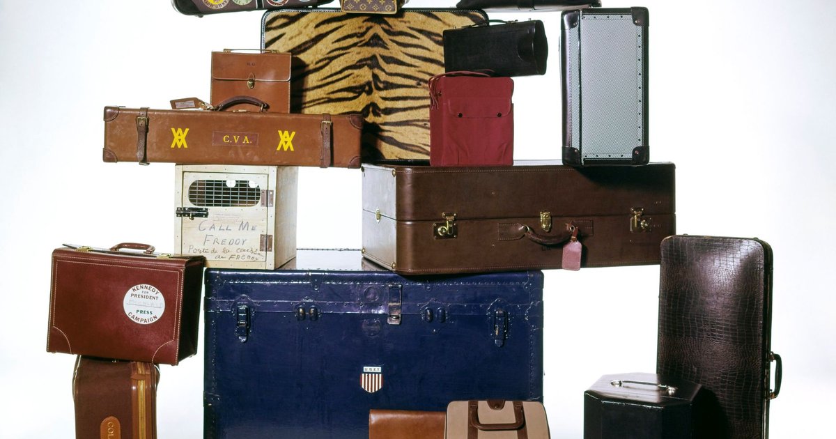 Head of Louis Vuitton tannery leads fight to gut EU deforestation law