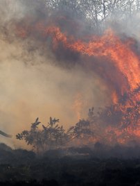 Firefighters spraying water into a wildfire with fires burning in the background