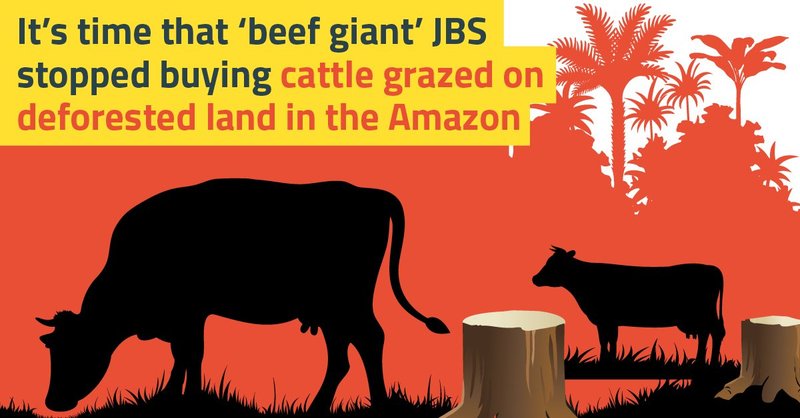 illustration showing cattle grazing in amazon with text that reads: it's time that