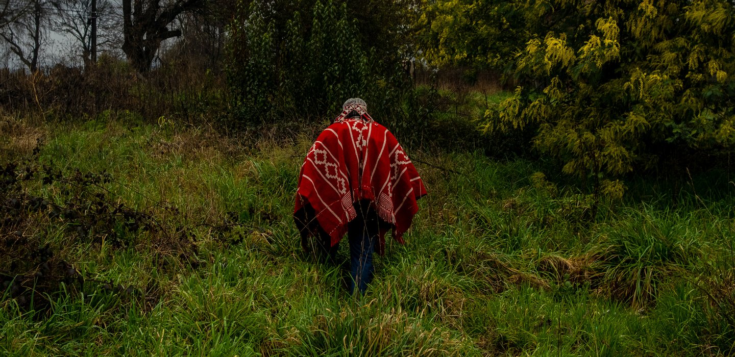 An Indigenous Mapuche leader walks across his ancestral land. Known as “people of the earth”, the Mapuche are the largest Indigenous group in Chile, with almost 1.8 million people.