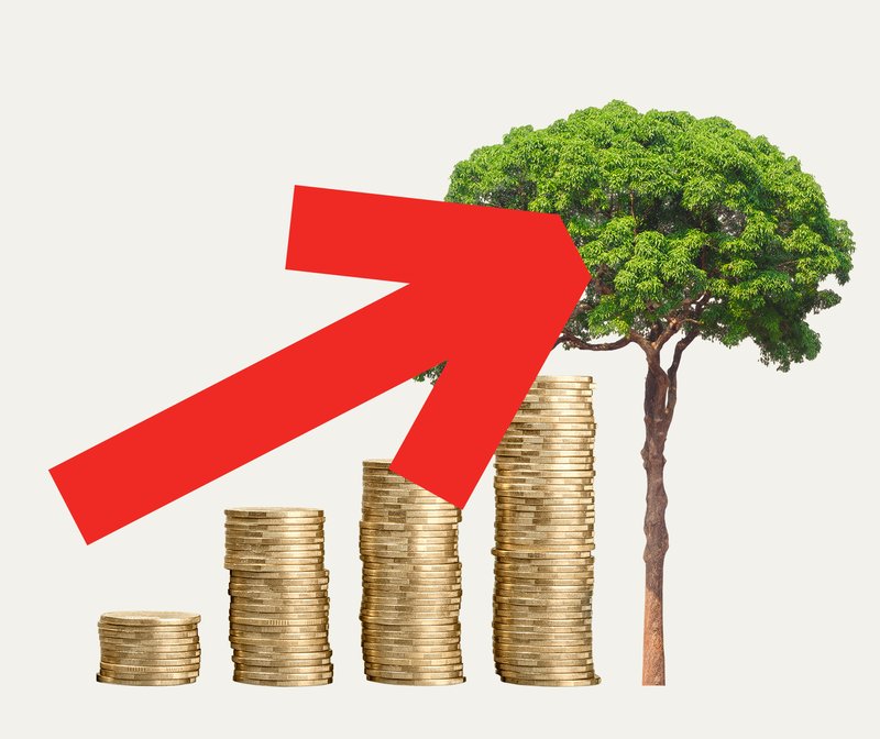 illustration showing stacks of coins next to tree with red arrow point diagonally up, resembles money graph