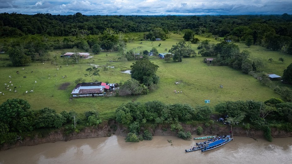 In 2000, Jani Silva helped create the Perla Amazónica Peasant Reserve Zone in Putumayo, one of Colombia’s first protected peasant reserves.