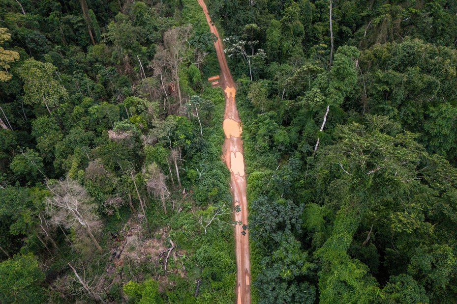 Bad roads, caused by ongoing logging activities, makes it difficult for communities to remain self-sufficient and sustainably manage the forest.