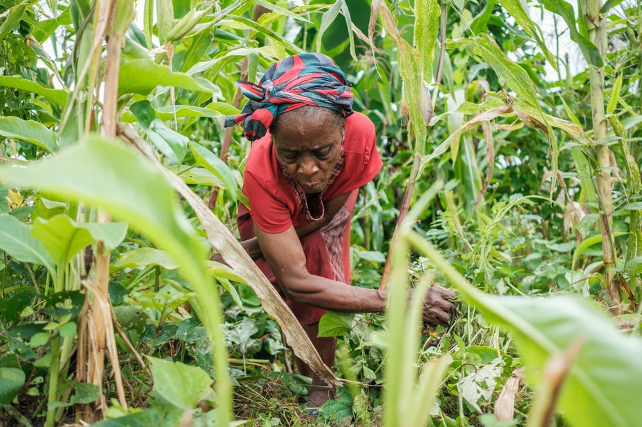 Defender Lawrencia Agbor is a strong advocate for forest protection, emphasising the vital benefits the local community derives from it, including food, medicine, and clean air.