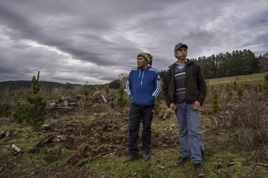 Julia Chuñil's son, Pablo Marcelo San Martín (left) and his stepfather, Bermar Flavio Bastías Bastidas, (right) look over land cleared by logging companies.