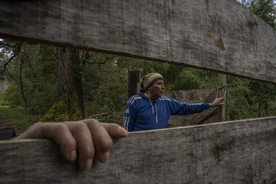 Julia's son, Pablo Marcelo San Martín Chuñil, points out areas of land near his mother's home which have been cleared by logging companies.