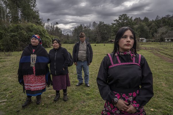 Family members and friends of Julia Chuñil search for her on the disputed land where she was last seen in Máfil, Chile.