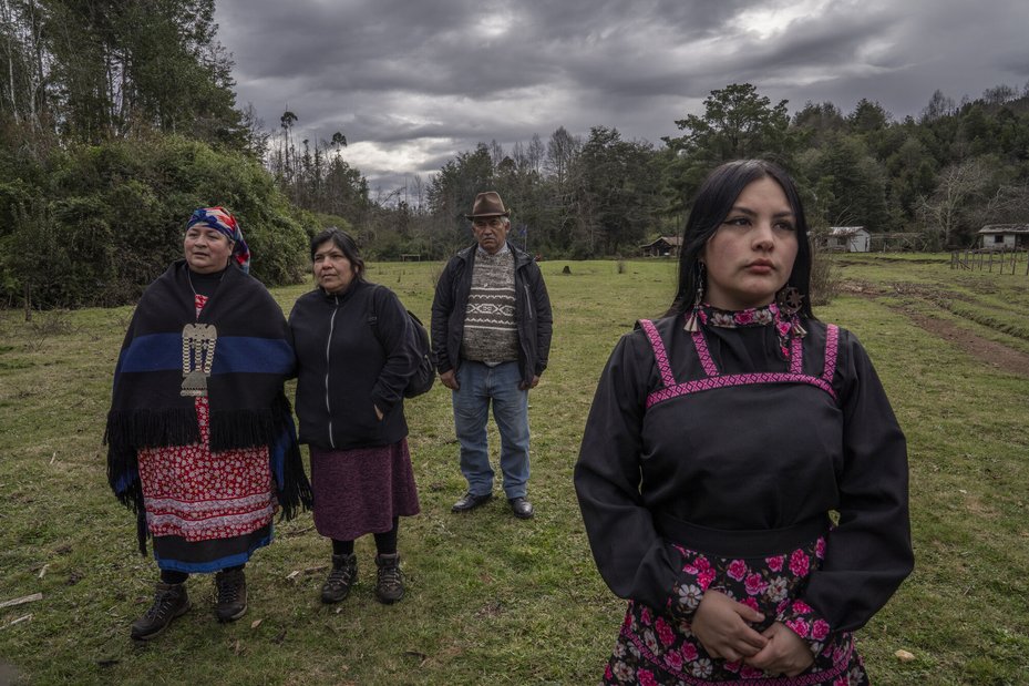 Family members and friends of Julia Chuñil search for her on the disputed land where she was last seen in Máfil, Chile.