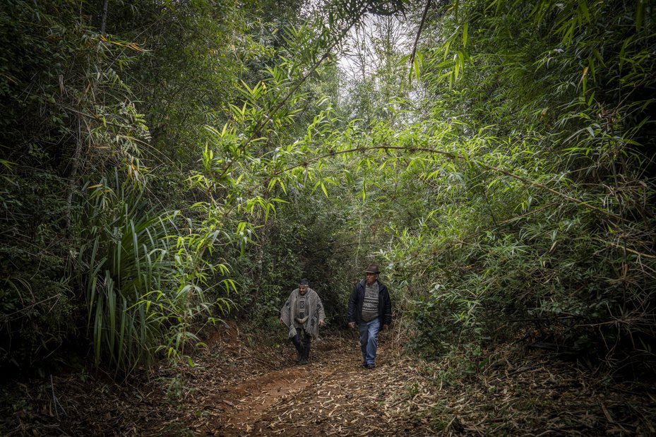 Indigenous Mapuche leaders support Julia Chuñil's family and search the area where she was last seen.