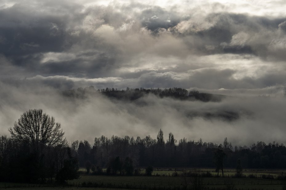 Morning mist covers the ancestral land that Julia Chuñil was trying to protect before she was disappeared in November 2024.