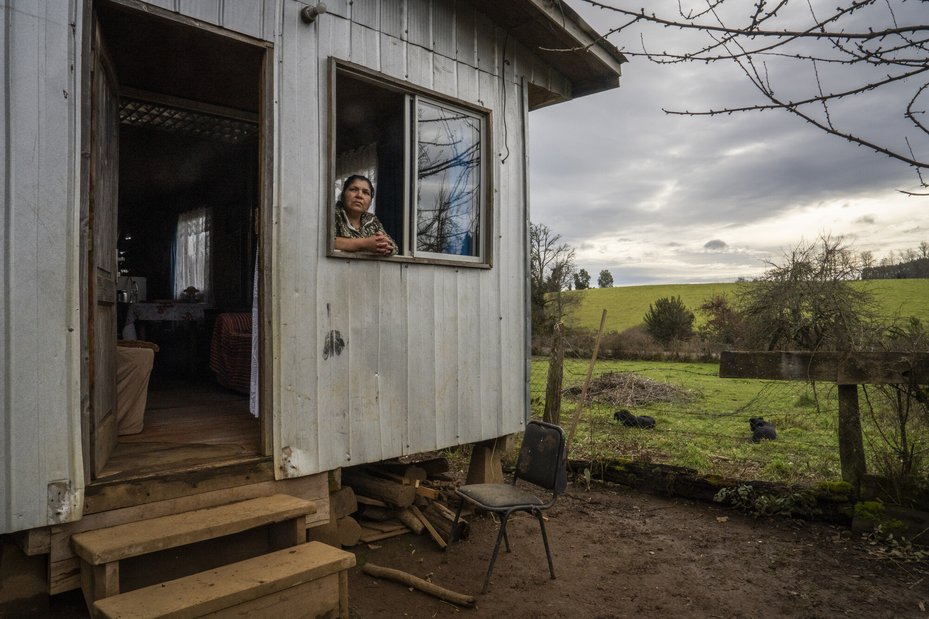 Jeannette Troncoso looks out the window of her home hoping for her mother's return. Jeannette has been subjected to harassment and was accused by police of being complicit in the murder of her mother, Julia Chuñil.