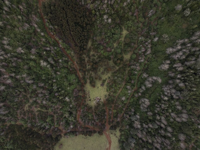 Aerial drone view of the forest where Julia Chuñil – a Mapuche woman and president of the Indigenous community of Máfil – was last seen. Julia was involved in a land dispute over this territory