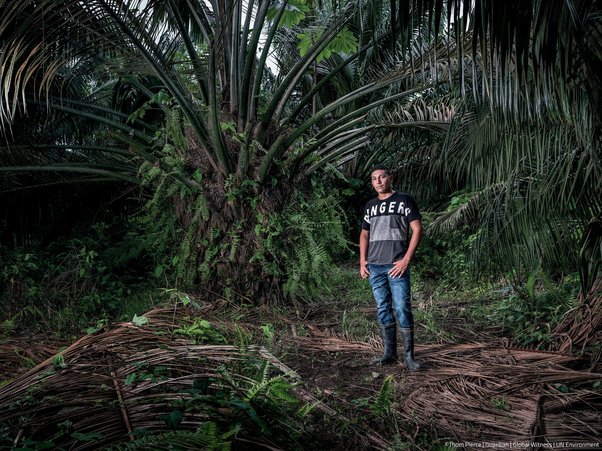 defender ramon bedoya standing in palm oil plantation