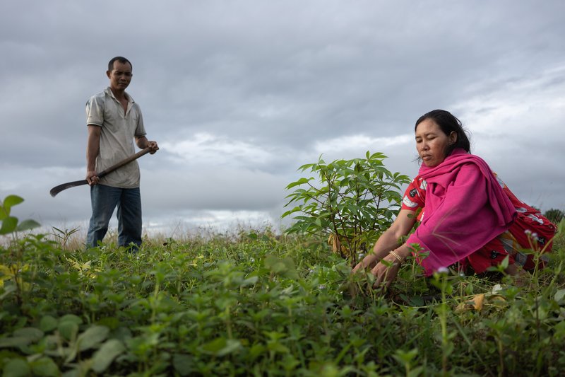 Noch Min, 40, and her husband Et Tam, 39, farm their 1.5 hectares of land given to them as compensation by the Thai based sugar company KSL