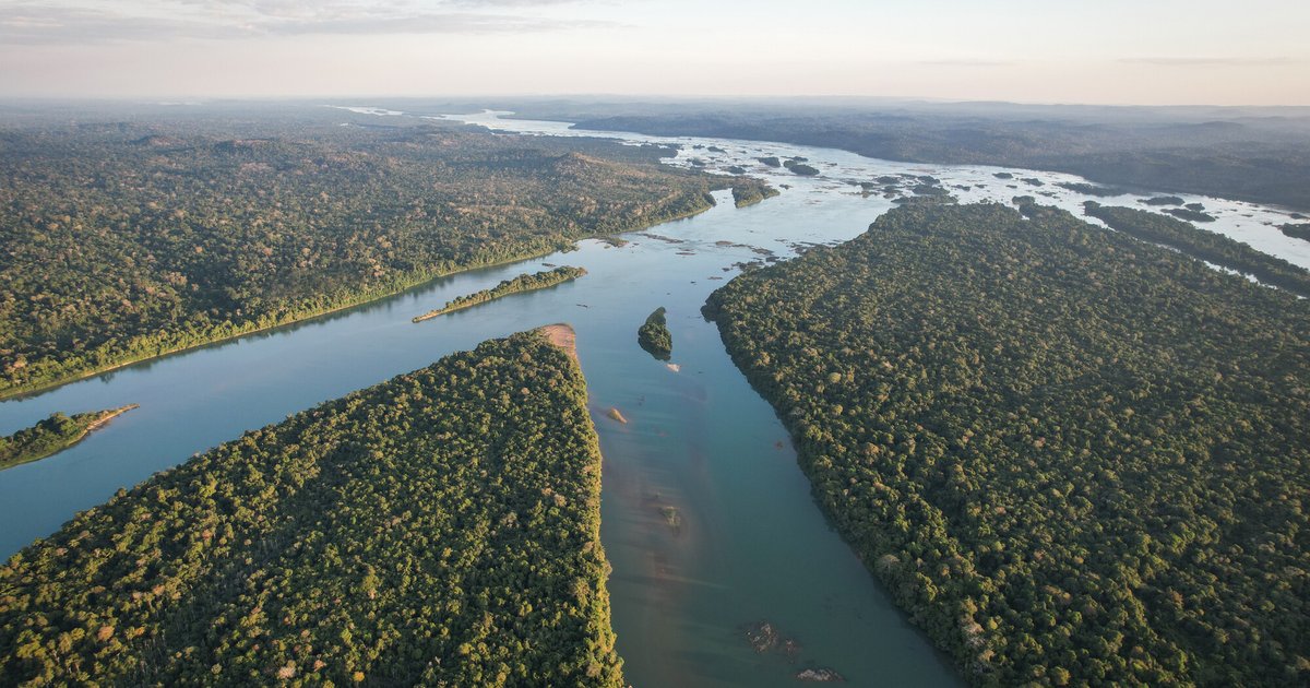 Brazil's offshore oil and gas plans contradict COP30 climate ambitions